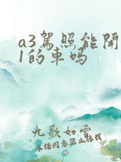 a3驾照能开b1的车吗