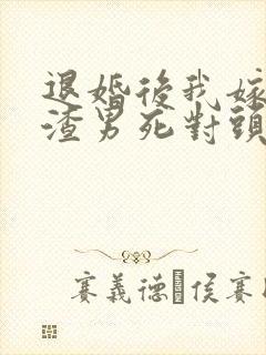 退婚后我嫁给了渣男死对头