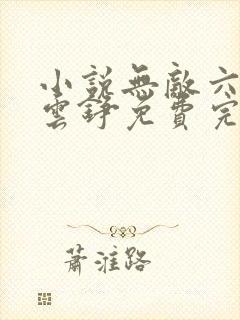小说无敌六皇子云铮免费完本