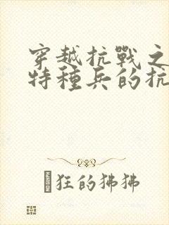 穿越抗战之一个特种兵的抗战历程