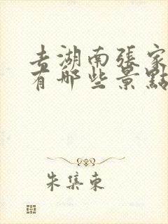 去湖南张家界都有哪些景点