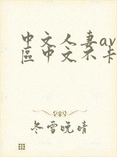 中文人妻av大区中文不卡