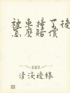 被车撞了后遗症怎么赔偿