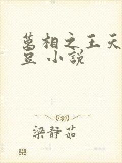 万相之王天蚕土豆 小说