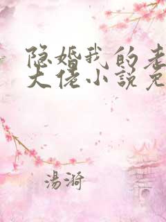隐婚我的老公是大佬小说免费阅读