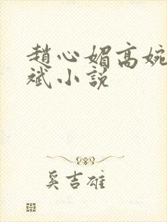 赵心媚高婉君陈斌小说 赵心媚高婉君陈斌小说