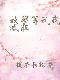 放学等我我无删减版
