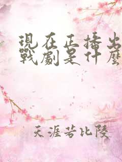 现在正播出的谍战剧是什么