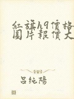 红旗h9价格及图片报价大全