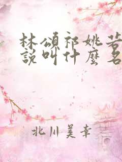 林颂祁姚若初小说叫什么名字