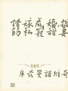 错嫁成婚,总裁的私宠甜妻