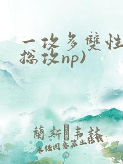 一攻多双性受(总攻np)