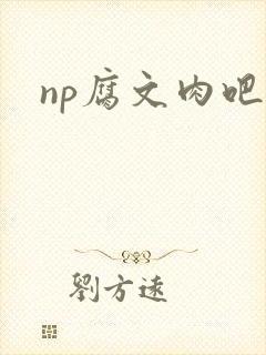 np腐文肉吧