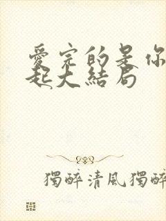 爱完的是你玩不起大结局