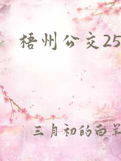 梧州公交25路