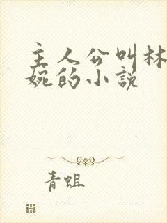 主人公叫林北苏婉的小说 主人公叫林北苏婉的小说