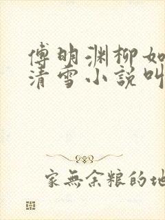 傅明渊柳如嫣林清雪小说叫什么名字