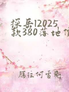 探岳l2025款380落地价多少钱