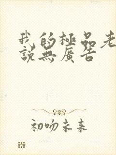 我的极品老婆小说无广告