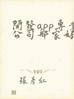 开发app专业公司哪家好