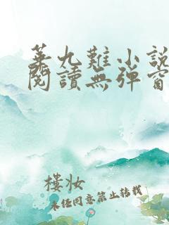 华九难小说在线阅读无弹窗