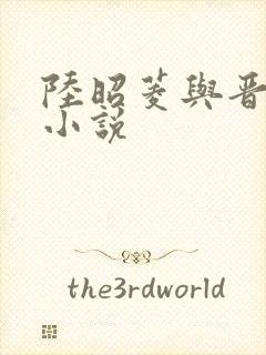 陆昭菱与晋王的小说