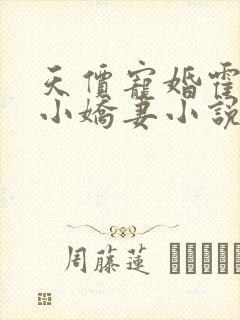 天价宠婚霍总的小娇妻小说全文免费阅读
