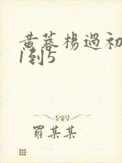 黄蓉杨过初云雨1到5 黄蓉杨过初云雨1到5