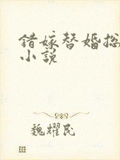 错嫁替婚总裁 小说