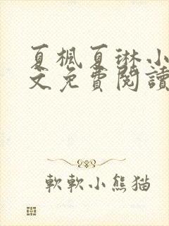 夏枫夏琳小说全文免费阅读