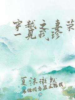 穿越之妻荣夫贵一见我珍