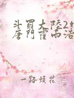 斗罗大陆2绝世唐门霍雨浩武魂