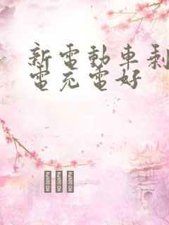 新电动车剩几格电充电好