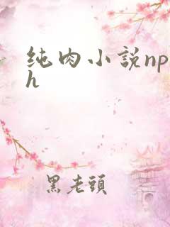 纯肉小说np高h 纯肉小说np高h