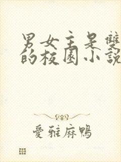 男女主是双校霸的校园小说