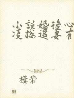小说婚后心动:凌总追妻有点甜全集免费下载