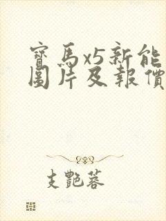宝马x5新能源图片及报价