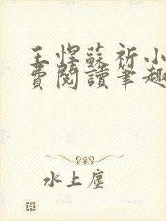王悍苏祈小说免费阅读笔趣阁最新