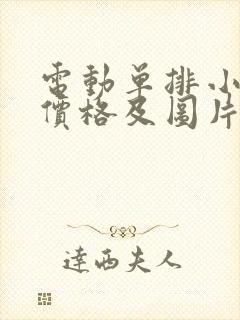 电动单排小货车价格及图片