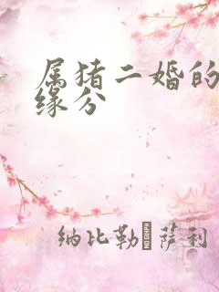 属猪二婚的夫妻缘分