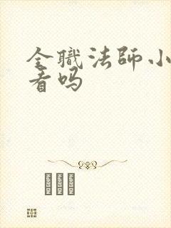 全职法师小说好看吗 全职法师小说好看吗