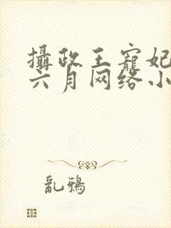 摄政王宠妃日常六月网络小说