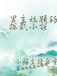 男主姓顾的现代总裁小说