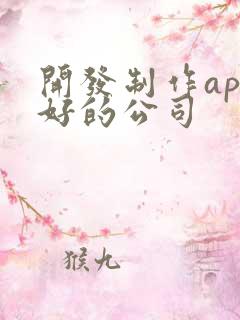 开发制作app好的公司