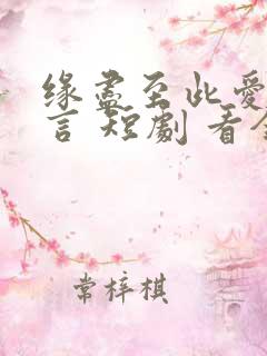 缘尽至此爱不再言 短剧 看全集