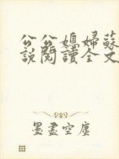 公公媳妇苏媚小说阅读全文