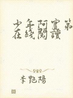 少年阿宾第二部在线阅读