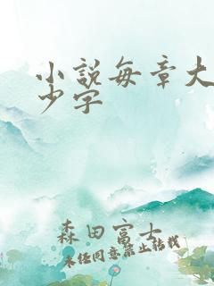小说每章大概多少字 小说每章大概多少字