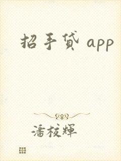 招手贷 app