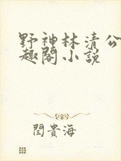 野神林清公的笔趣阁小说